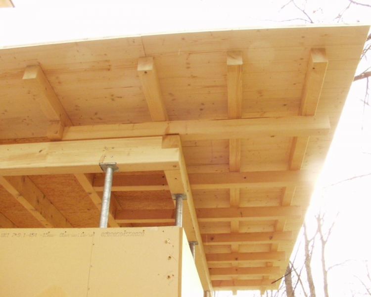 Karlsruhe Holzhaus Lousianaring