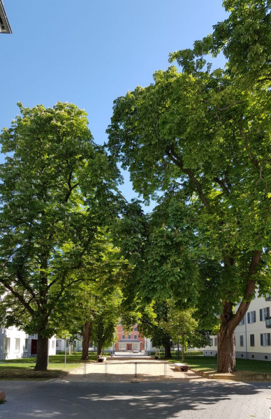 Hohenzollernhöfe Ludwigshafen BASF Wohnen und Bauen